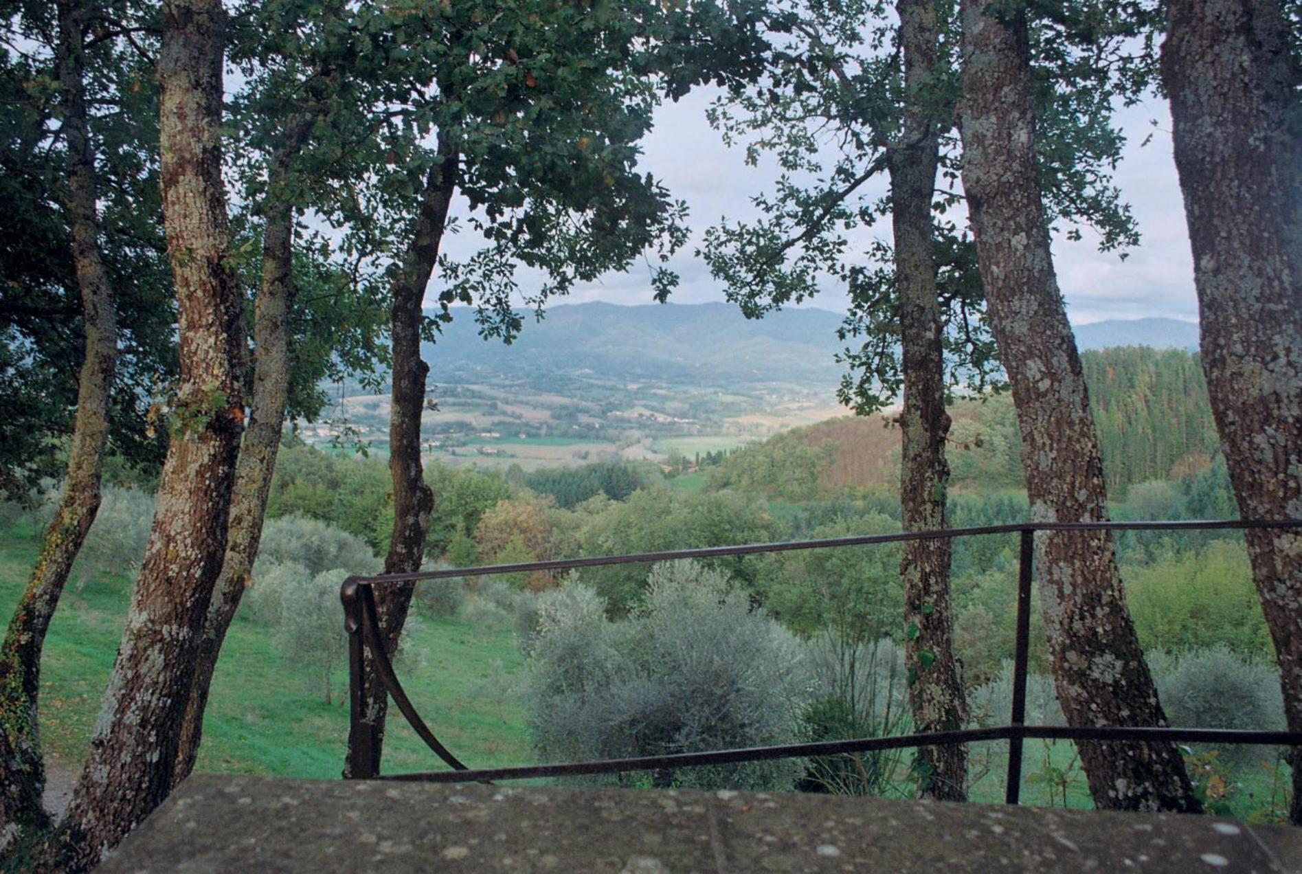 Podere Capitignano Borgo San Lorenzo Oda fotoğraf
